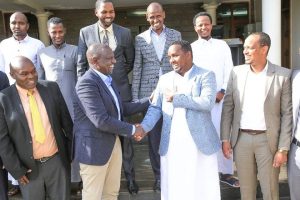 Ruto receives MPs
