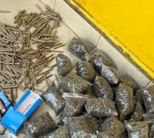 Some of drugs that were seized at the yard in Ngara on March 18, 2024Image: HANDOUT