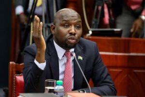 CS Murkomen gestures during a past event