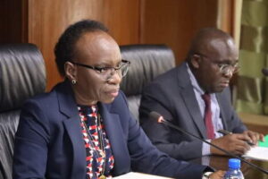 Auditor General Nancy Gathungu during a past parliamentary committee event 