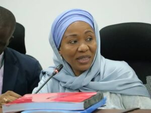 Senator Hamida Ali Kibwana speaking during a past meeting 