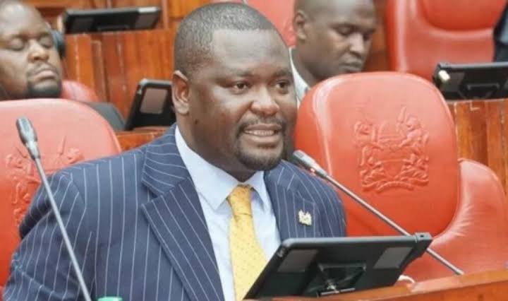 Mbeere North MP Hon Geoffrey Ruku during a past parliamentary sitting. Photo: Geoffrey Ruku Source: X