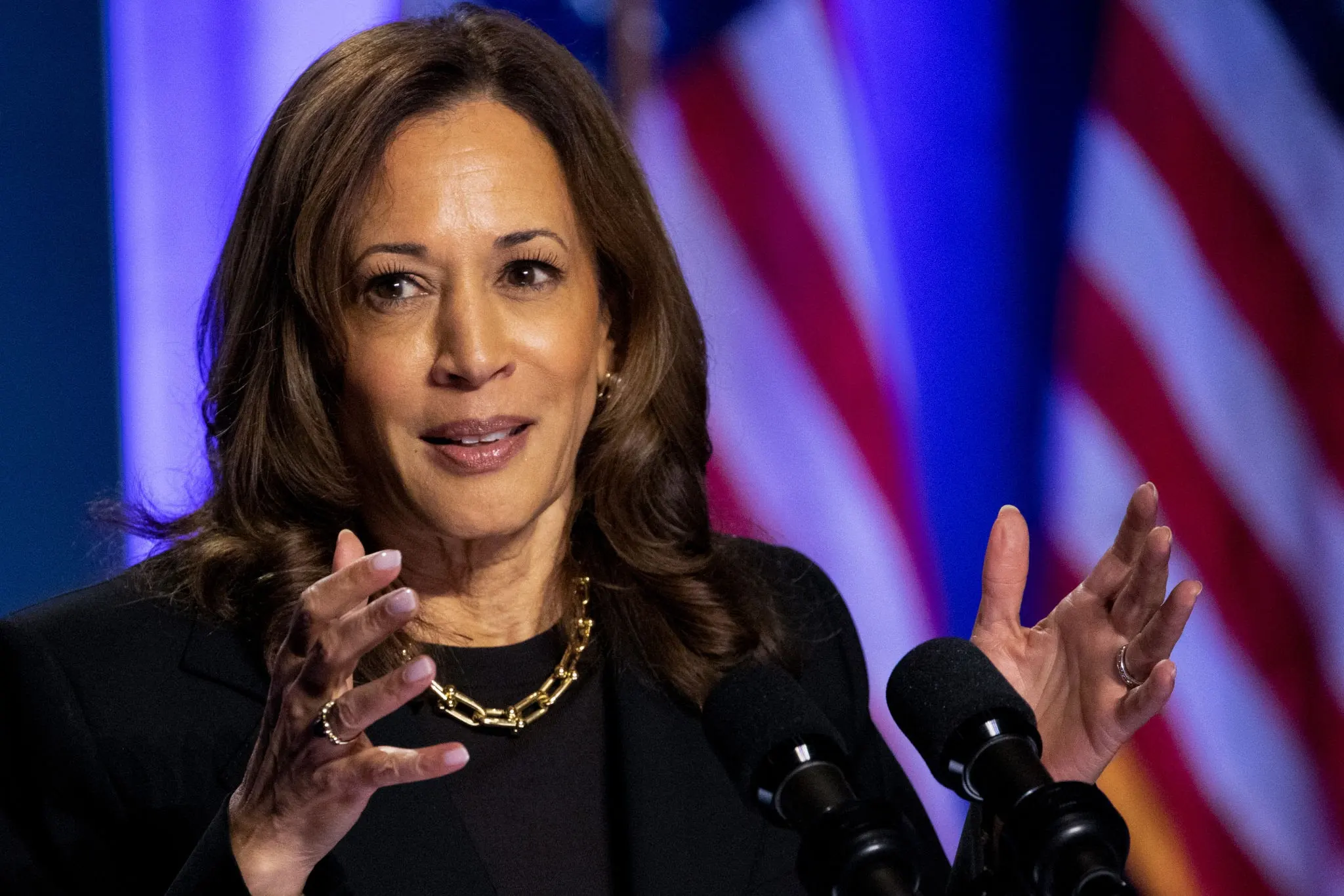 US Vice President Kamala Harris during a past event. Photo: AP